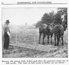 IH International More and Better Potatoes to the Acre Brochure