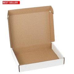 Single Pack 12x9x2 Inch Blank White Mailer Box – Perfect for Branding Needs