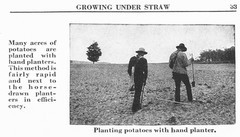IH International More and Better Potatoes to the Acre Brochure