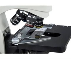40X-2000X Built-in 3MP Camera Binocular Compound Siedentopf LED Microscope