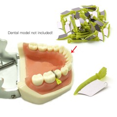 Dental Fender Interproximal Wedges Matrix Blade Guard Matrices Steel L/M/S 134°C