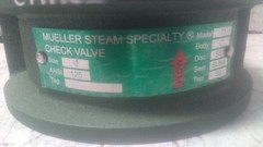 Mueller Steam Specialty 4 71AHB3H 4 In Pipe Size Double Disc Check Valve