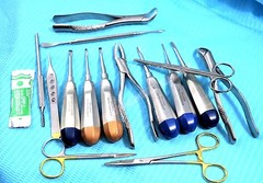 PREMIUM GERMAN SET OF 25 Veterinary Dental Extraction Instruments Kit Forceps