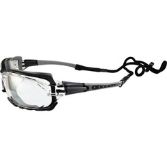 Birdz Eyewear Gasket Safety Padded Motorcycle Sunglasses Grey with Clear Lens