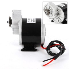 350w 24v 2 Poles Brushed Motor Electric Vehicle Geared Motor Decelerate Motor
