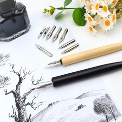 12 Pcs Comic Dip Pen Set with 2 Holders and 10 Nibs Calligraphy Drawing