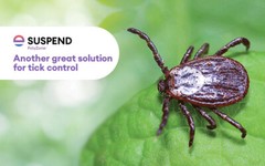 16 oz Suspend POLYZONE Insecticide ~ Ant Roach Flea Tick Bed Bugs Insect Control