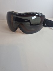 Dewalt DPG82-21 Concealer Smoke Lens, Gray Anti-Fog Safety Goggles
