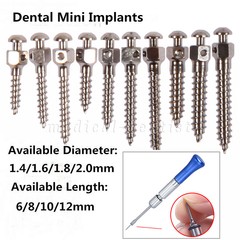 10 Sizes Dental Orthodontic Mini Implant Micro Screws Titanium Screwdriver Or