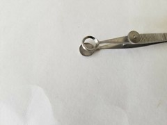 Collins Expressor Forcep Expression Meibomian Gland Meibom Ophthalmic Eye GERMAN