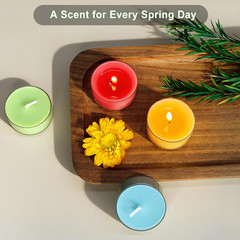 Spring & Summer Scented Tealight Candles 16 Pack, Natural Soy & Bee Wax Blend, E