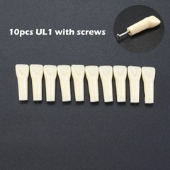 Kilgore NISSIN 200 Dental Typodont Individual Teeth Replacement for 32 Teeth