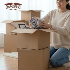 25 16x12x8 Cardboard Paper Boxes Mailing Packing Shipping Box Corrugated Carton