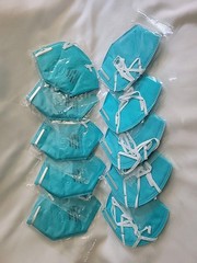 10 BYD Care Personal Use Disposable N95 Particulate Respirator Face Masks
