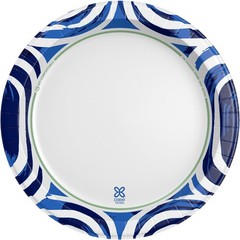 Dixie Ultra, Large Paper Plates, 10 Inch, 100 Count (Pack of 1, White/Indigo