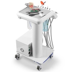 Portable Mobile Dental Delivery Unit Treatment Compressor Syringe Suction 4 Hole
