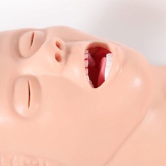 USA Adult Airway Management Trainer Lab Intubation Manikin Study Teaching Model