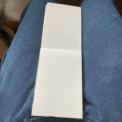 100 Labels 4×6 Fanfold Direct Thermal Shipping Labels for Rollo Zebra Printer