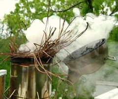 5 POUNDS SMOKER FUEL HONEY BEE KEEPING BEES HIVE SMOKE NATURAL PINE NEEDLES 5 lb