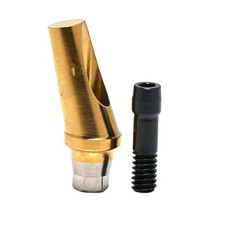 US Dental Angulated Abutment 17° W/screw Inter Hex Regular 2.5mm Dentist Lab A/B