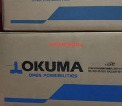 Factory Sealed BL-MH301E-12SB NEW Okuma Servo Motor Fast Ship BL-MH301E-12SB