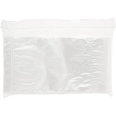 Plymor 6″ x 9″, 2 Mil with Pouch Zipper Reclosable Plastic Bags