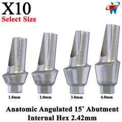 10x Dental Impl ant Anatomic Angulated 15° Abut ment Internal Hex 2.42mm Screw