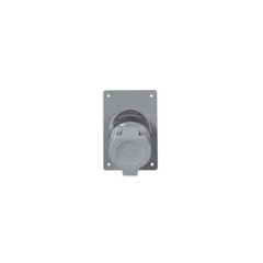 Appleton ENR5201, 125 VAC, 20A, 2W, 3P, Aluminum, Receptacle Cover Assembly, 1pc