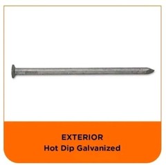 PRO-FIT8 in. 50 lbs. Hot Dipped Galvanized Common SpikeNail (200-Count)