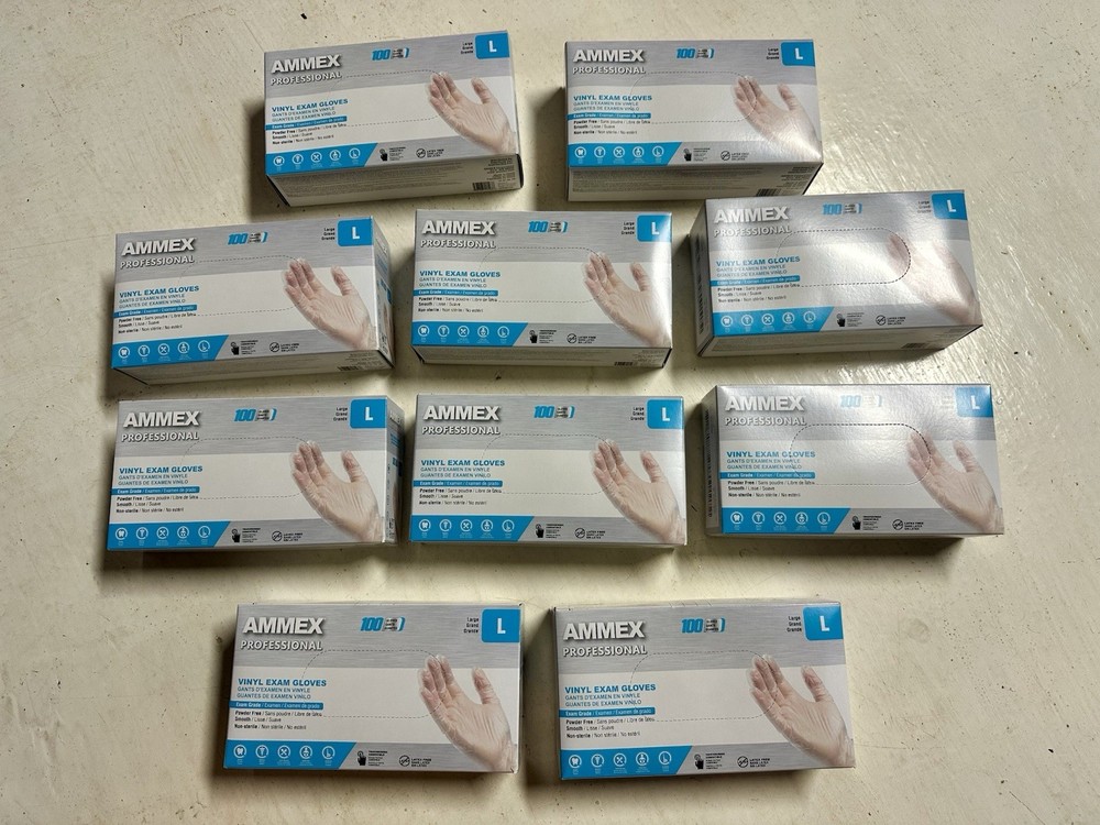 1000 (10 Boxes) AMMEX L Large Professional Vinyl Exam Gloves Protection Clinical