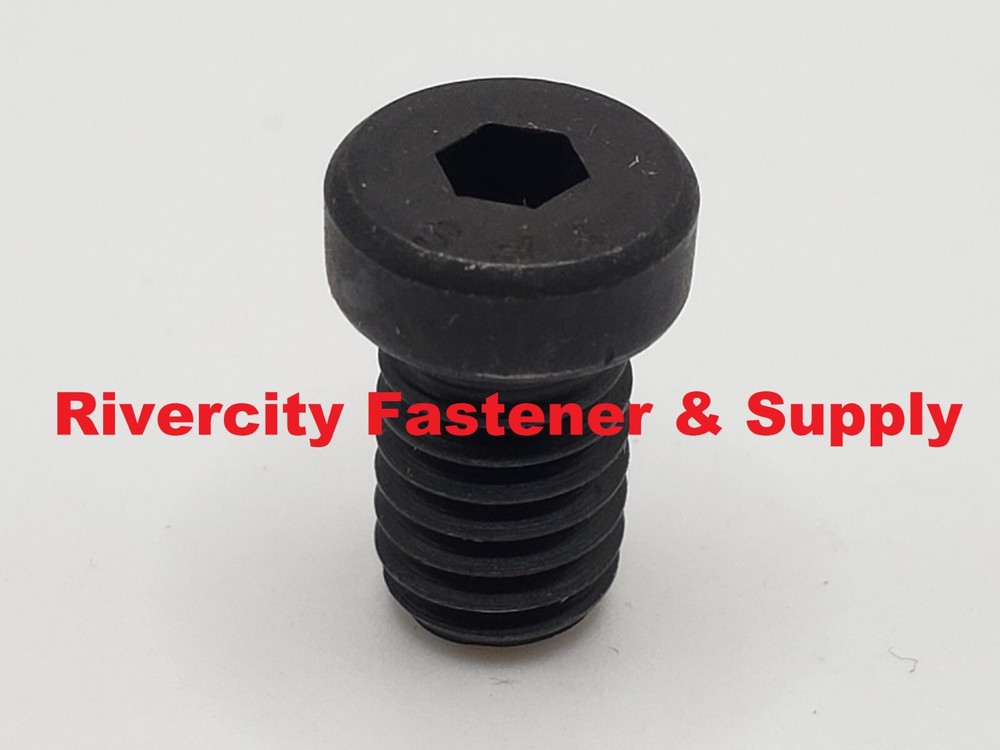 1/4-20 x 1/2 Low Head Socket Allen Cap Screws 1/4×20 x .50 Bolts 1/4-20×1/2″