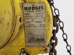 Budgit 310891-1 1/4 Ton 500Lb. 230/460V 3Ph Electric Chain Hoist 10′ Lift 16FPM