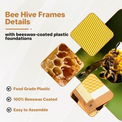 ⏯10-Frame Medium Super Bee Box Wax Coated Bee Hives Beehives Frame Wax Foundatio