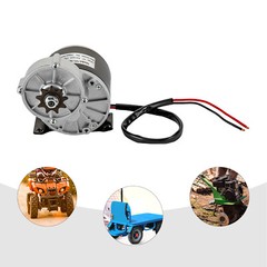 High Power 12V 250W Gear Reduction DC Motor For E-Bike Scooter ATV