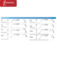 Woodpecker Dental Ultrasonic Scaler Tips EMS UDS Endo Perio Root Canal Scaling