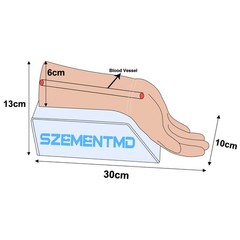 Ultrasound-Guided Radial Artery Cannulation Training Models Medical Simulation