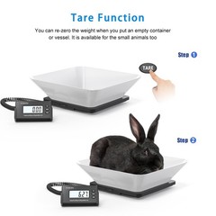 Accurate 440lbs Shipping Scale – Ultrathin Postal Scale for Packages & Luggage