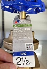 American Valve Lead Free Brass Gate Valve G300 Series 2 1/2” 200 WOG
