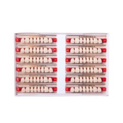 US Dental Acrylic Resin Teeth Anterior/Posterior Shade A1/A2/A3 Full Set Denture