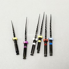 6pcs Dental Nickel Titanium Heat Activated Root Files Black Rotary Files 25mm