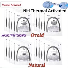 Dental Orthodontic Thermal Activated Archwires Niti Arch Wire Ovoid Natural Form