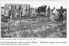 IH International More and Better Potatoes to the Acre Brochure