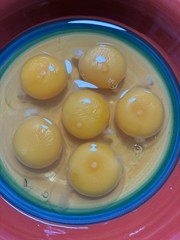 12+6 Fresh Fertile Hatching Eggs, Blue, Green, Mint, Olive, BYM +Cemani +