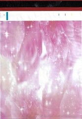200 Bags 100 10×13 Pink Peony, 100 10×13 Lets Go Shopping Designer Poly Mailers