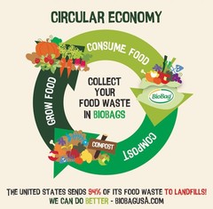 Biobag Usa 100 Certified Compostable Shopping Bags 12 Lb Capacity 500 Count