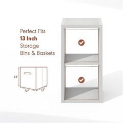 Pemberly Row 2-Cube Media Storage Organizer in Light Grey Engineered Wood