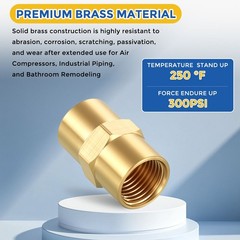 8 Pack Brass Pipe to 1/8″ FeMale NPT Fittings, 1/8″ FeMale NPT Reducer