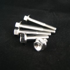 Gr5 Titanium Flange Head Bolts Fastener Hex M6 M8 15 20 25 30 35 40 45 50 55 60