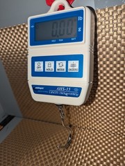 Intelligent Weighing Technology AHS-15 Hanging Scale