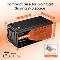 48V 100Ah Lithium LiFePO4 Battery Deep Cycles BMS For RV Sloar Golf Carts